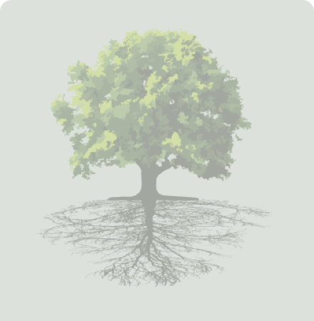 UC Funding tree logo (team-member placeholder photo)