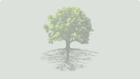 UC Funding tree logo placeholder image