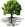 UCF_logo-tree